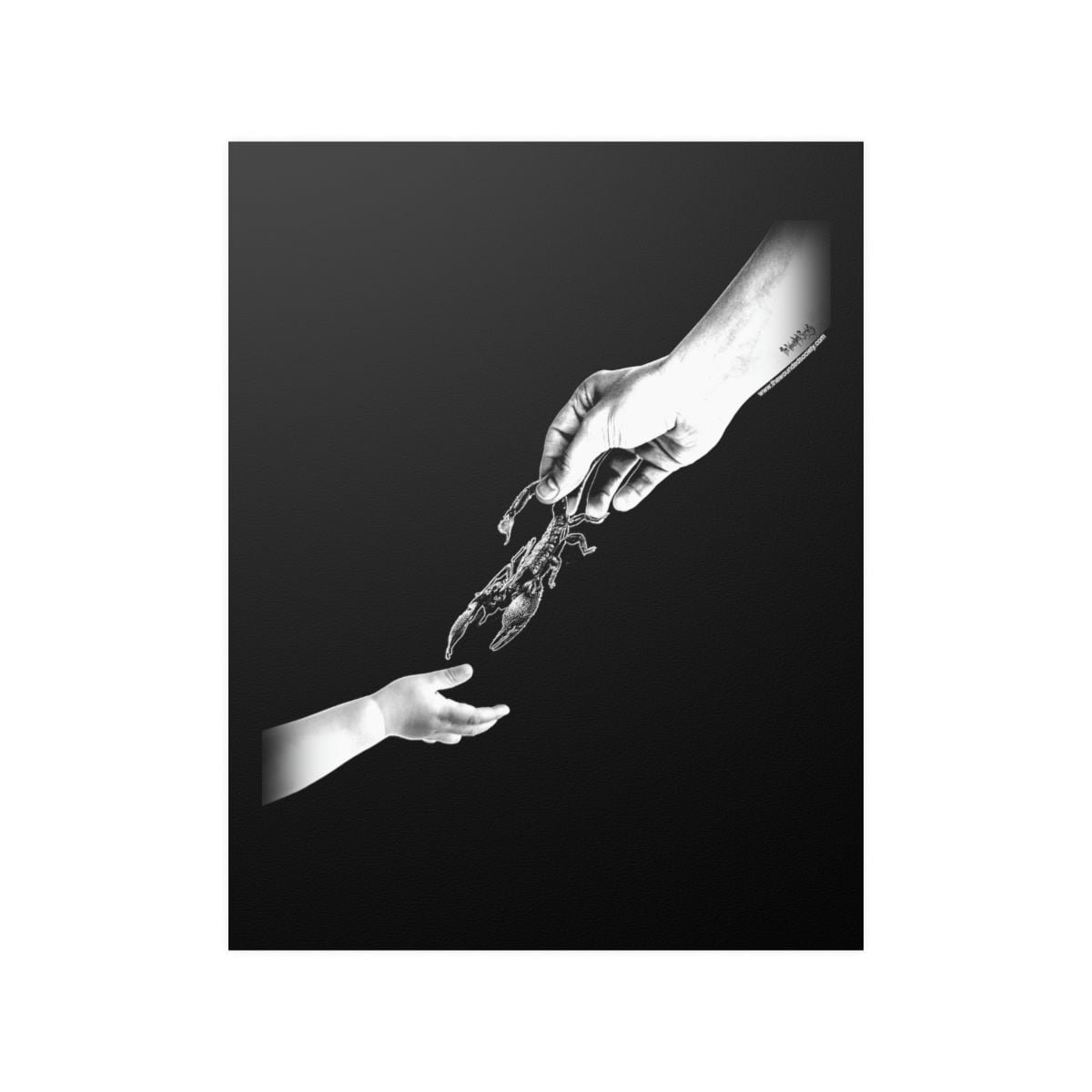 Scorpion by The Wounded Society Indoor Wall Posters - Image 4