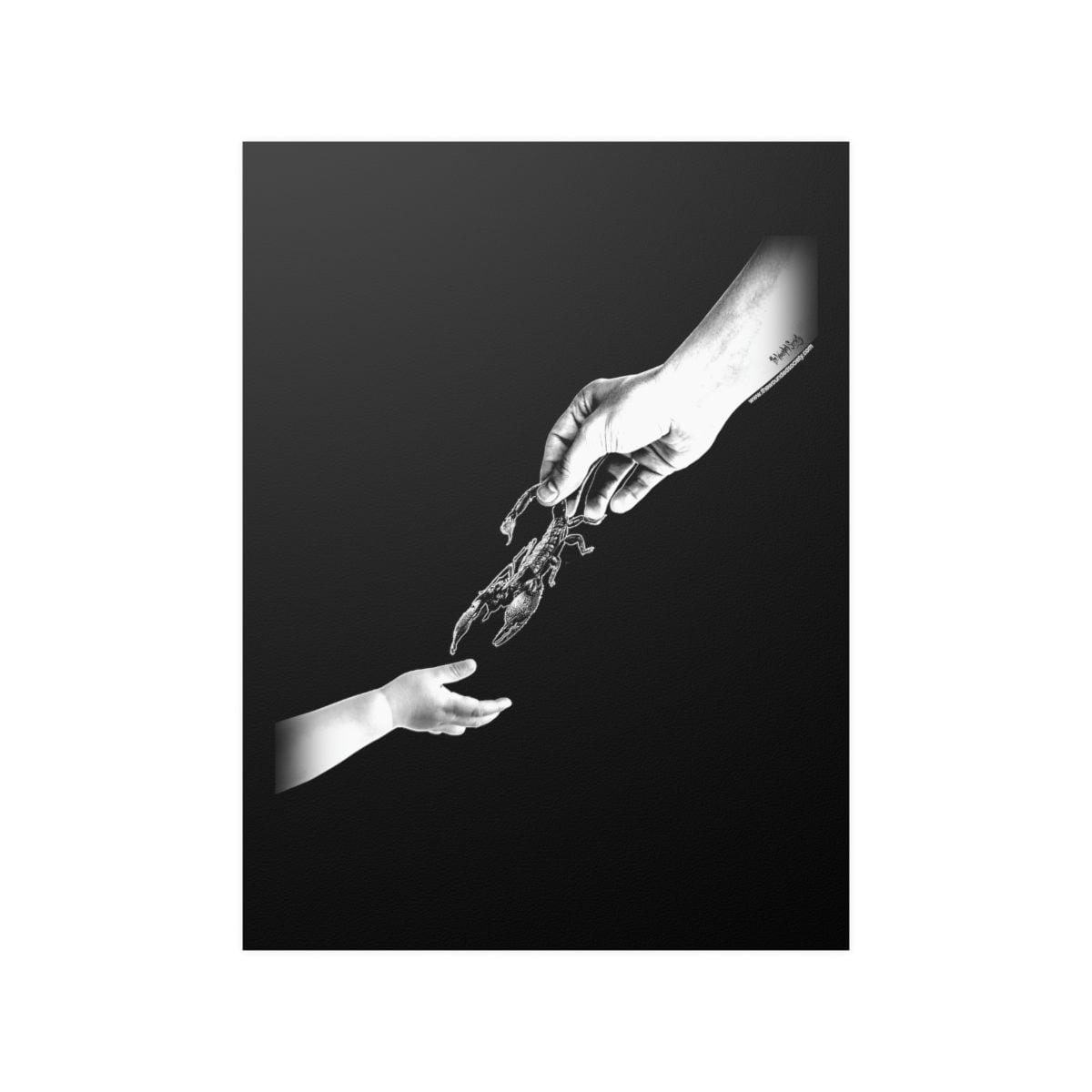 Scorpion by The Wounded Society Indoor Wall Posters - Image 13