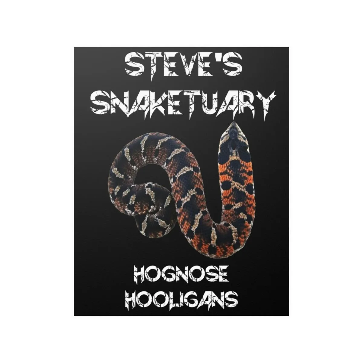 Steve's Snaketuary - Hognose Hooligans Posters