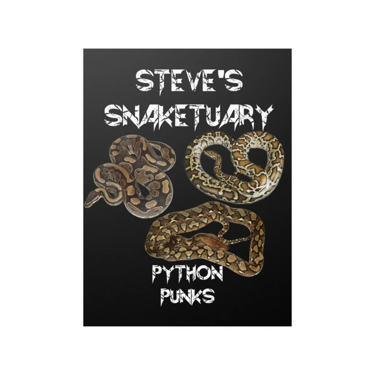 Steve's Snaketuary - Python Punks Posters