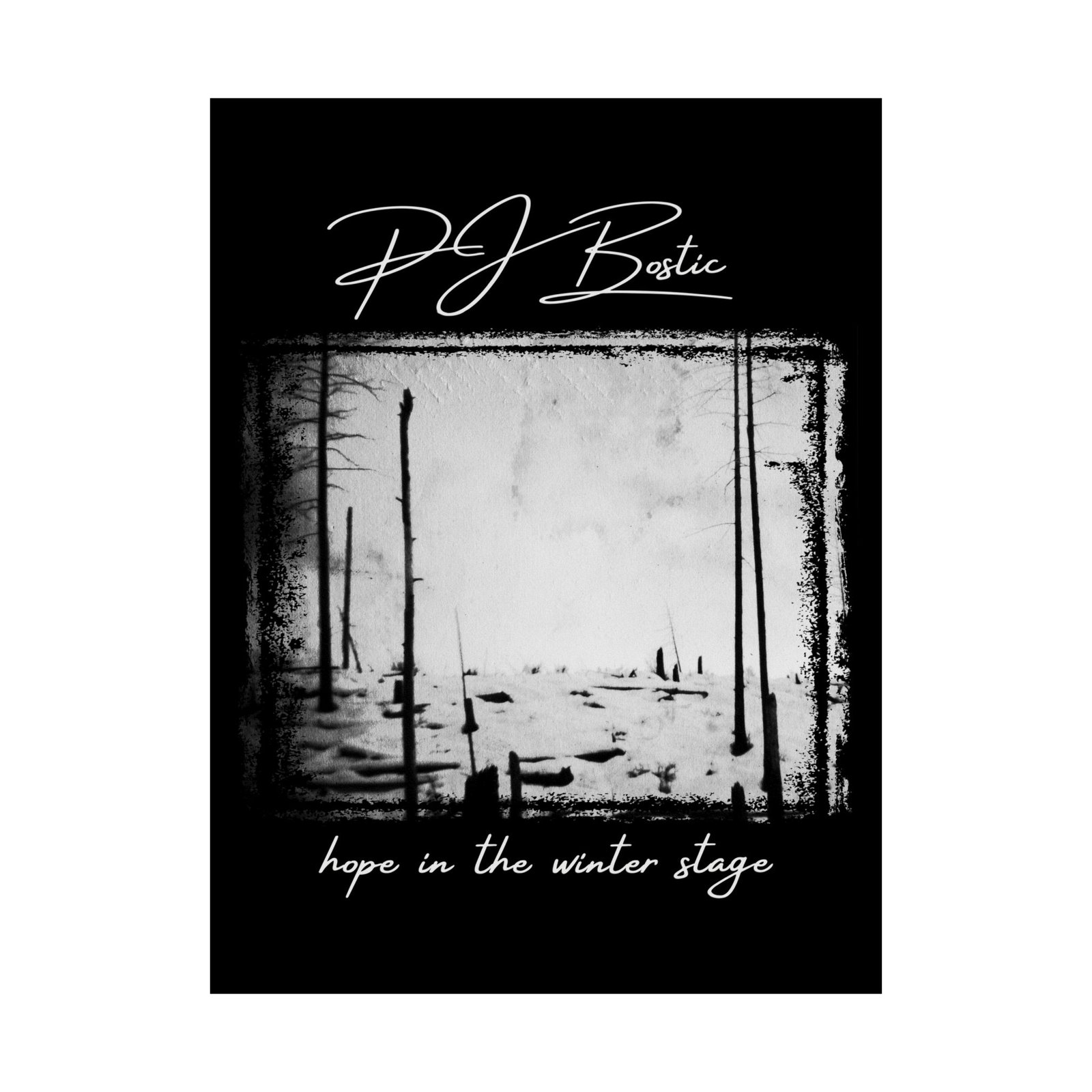 PJ Bostic - Hope In The Winter Stage Poster Prints (210gsm)
