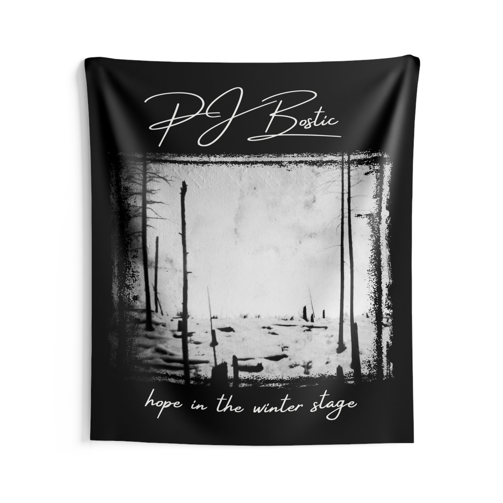 PJ Bostic - Hope In The Winter Stage Indoor Wall Tapestries