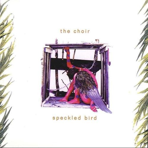 The Choir - Speckled Bird CD (LB2)